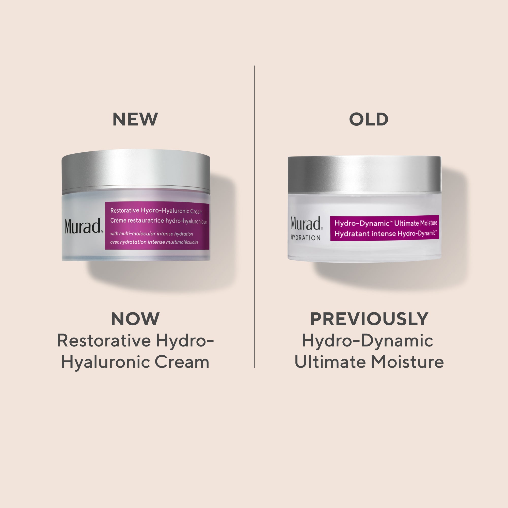 Restorative Hydro-Hyaluronic Cream